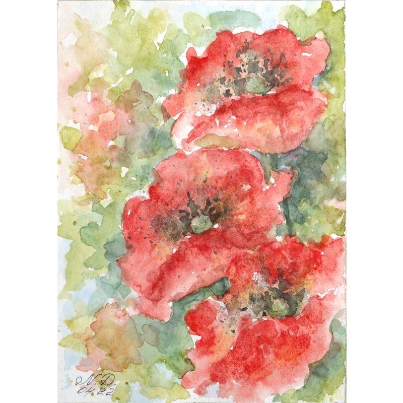 紅罌粟畫原創藝術花卉水彩花卉藝術品小畫 - 海報/掛畫/掛布 - 紙 多色