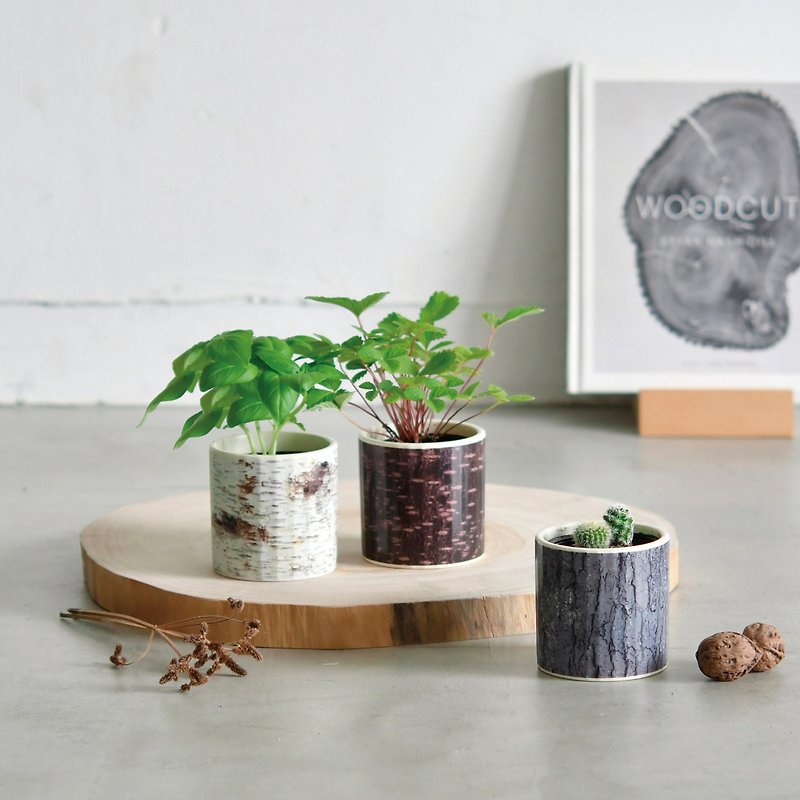 【New Arrival】Wood & Green Wood Grain Ceramic Cultivation Group Series - Plants - Pottery Green