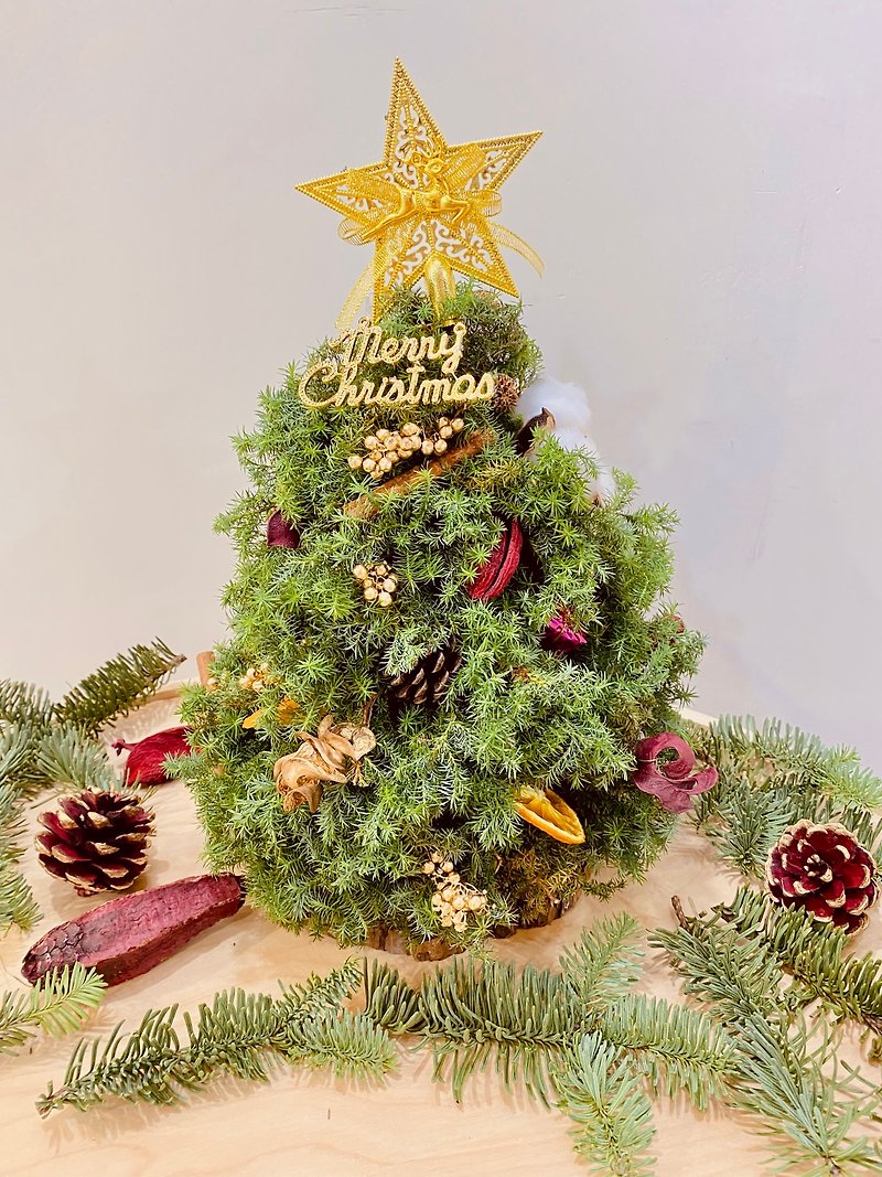 [Group of one person] Tianmu/Handmade Christmas tree x Fresh cedar/Afternoon tea set - Plants & Floral Arrangement - Plants & Flowers 