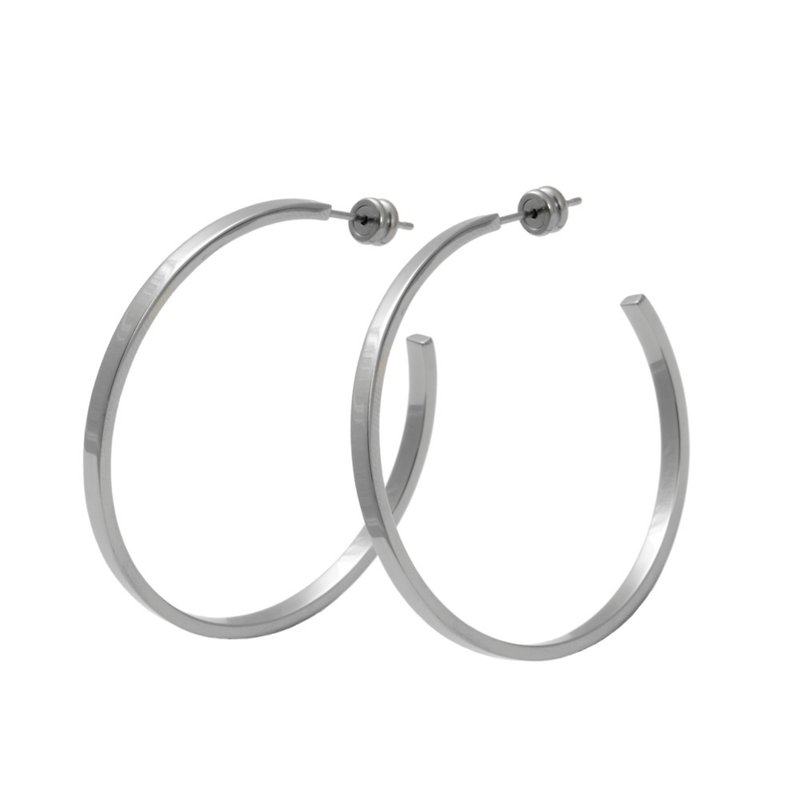 Vitality - a pair of pure titanium earrings - Earrings & Clip-ons - Other Metals Gray
