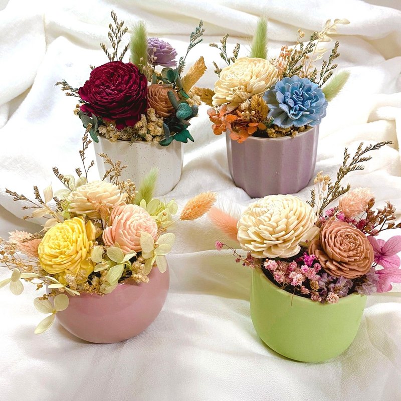 Rose dry flower pot/immortal flower/dried flower/good home decoration/gift first choice - Dried Flowers & Bouquets - Plants & Flowers Multicolor