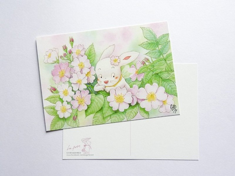 貝果插畫明信片「薔薇－小兔花精靈」 - 心意卡/卡片 - 紙 粉紅色