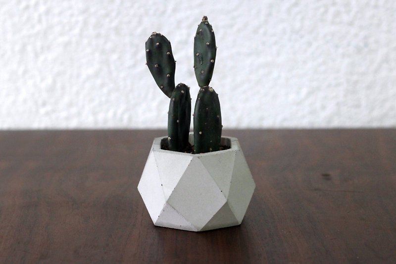 小さなひし形|幾何学的な鉢と花をセメント - 観葉植物 - コンクリート グレー