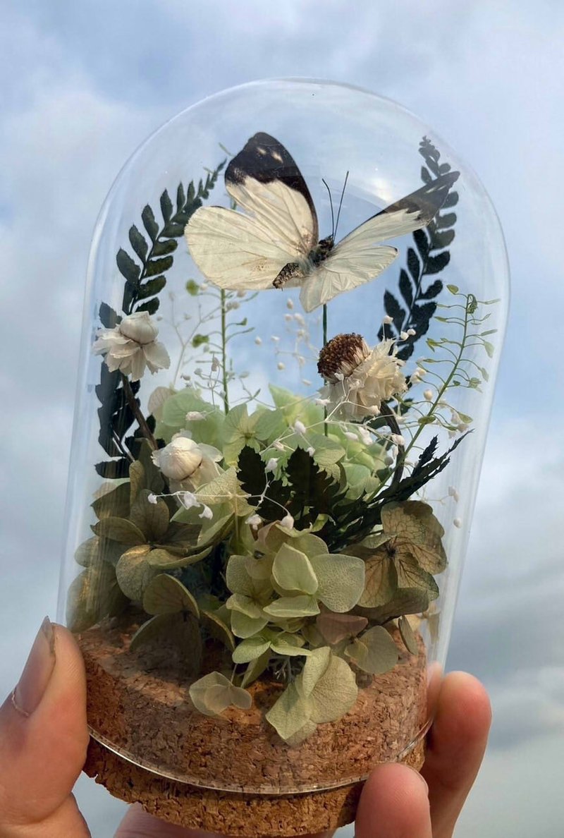 Butterfly Specimen Glass Cup-Moire White Butterfly/Chinese Valentine's Day/Dried Flowers/Ecological Bottle/White Butterfly - ช่อดอกไม้แห้ง - พืช/ดอกไม้ สีเขียว