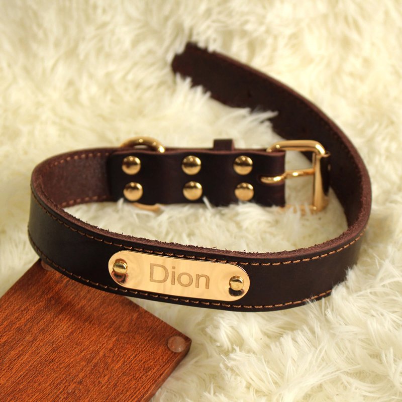Me And My Pet | Custom Lettering Dog Leather Collar | Engraving - Collars & Leashes - Genuine Leather 