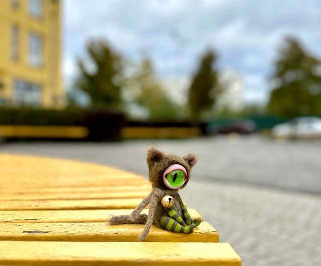 Tiny gray kitten - cyclops