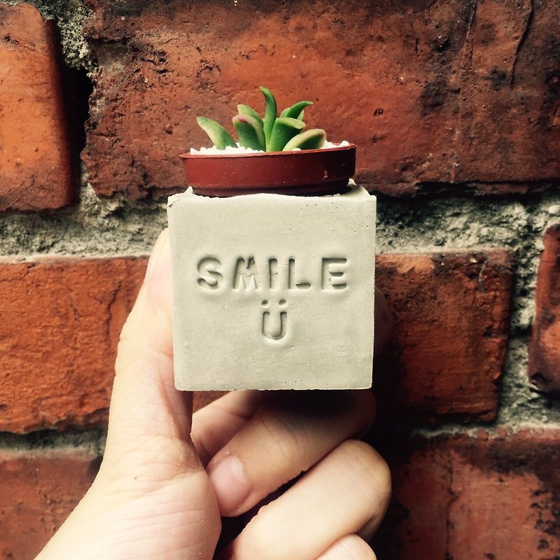 smile, a Cement magnet potted plant gives you succulents - ตกแต่งต้นไม้ - ปูน สีเทา