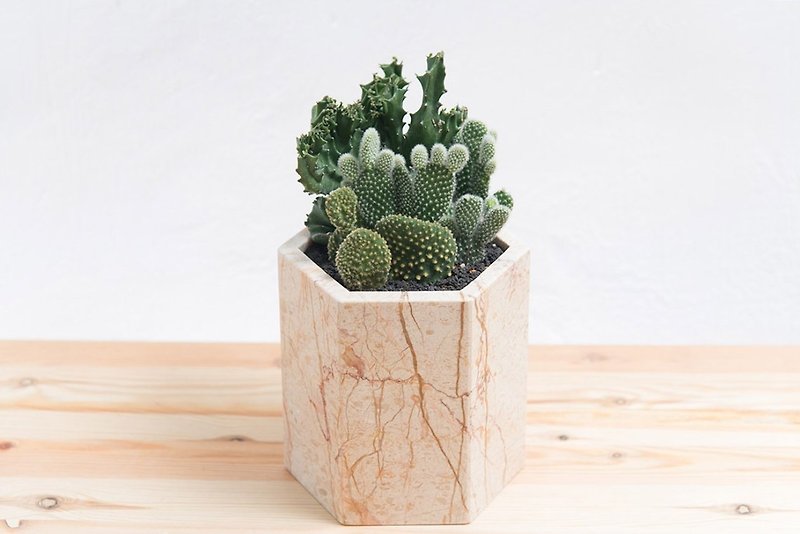 [Meat Plant] Marble Hexagonal Cactus Set Basin (Yellow) - ตกแต่งต้นไม้ - หิน สีส้ม