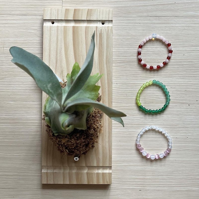 ㄅㄆㄇㄈ green jade bracelet - Bracelets - Jade Pink