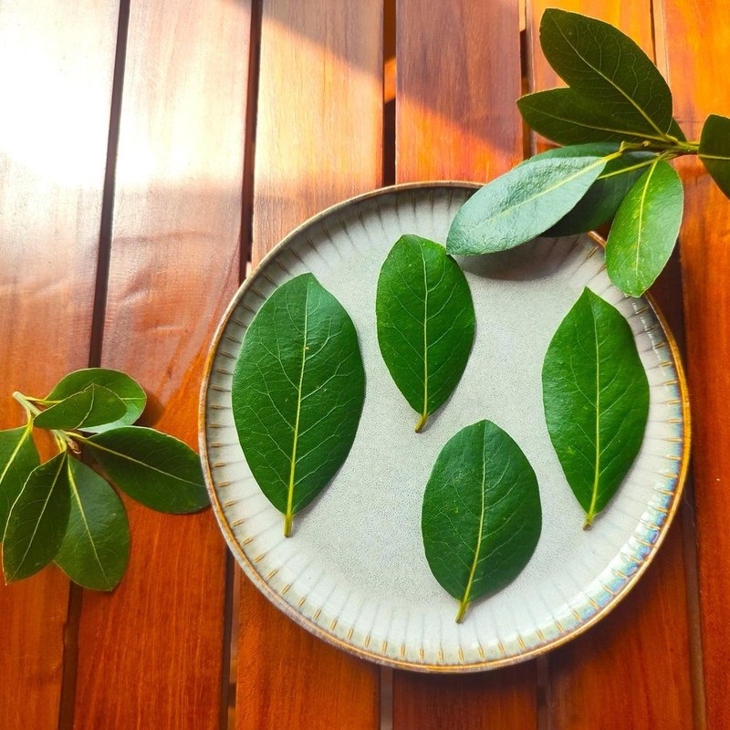 Bay leaves - อาหารเสริมและผลิตภัณฑ์สุขภาพ - พืช/ดอกไม้ 