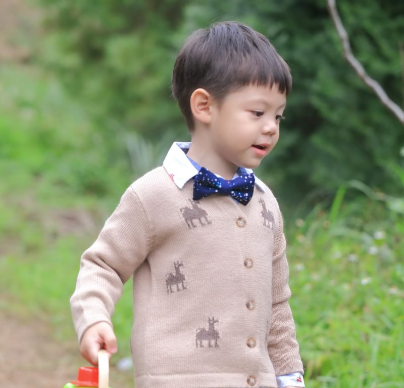 [Alpaca vine] Peru handmade 100% baby alpaca knit jacket for boys/girls - เสื้อโค้ด - ขนแกะ สีทอง