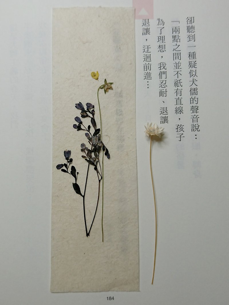 Shan Jing Qiuqing - ที่คั่นหนังสือ - พืช/ดอกไม้ 