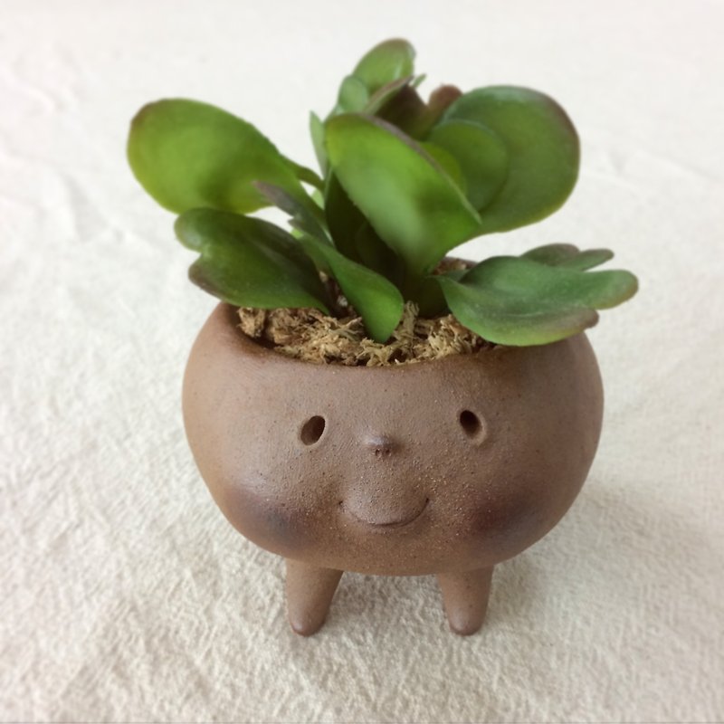 COJICOJI (flower pot) - Plants - Pottery Brown
