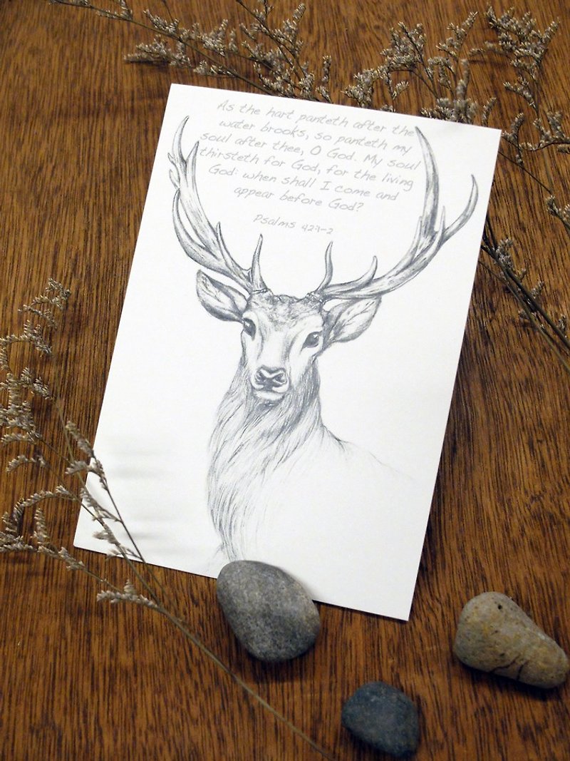 Deer sketching postcard - การ์ด/โปสการ์ด - กระดาษ สีเทา