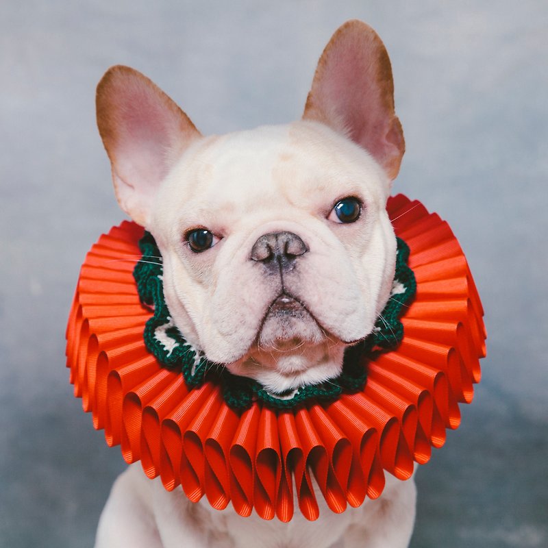 古典聖誕派對荷葉領 拉夫領 - 狗狗 聖誕禮盒 - 貓狗頸圈/牽繩 - 聚酯纖維 多色