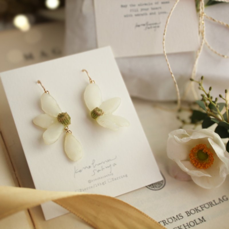 Clematis petals earrings,14k gold filled, Dried flower Earrings,No.187 - Earrings & Clip-ons - Plants & Flowers White