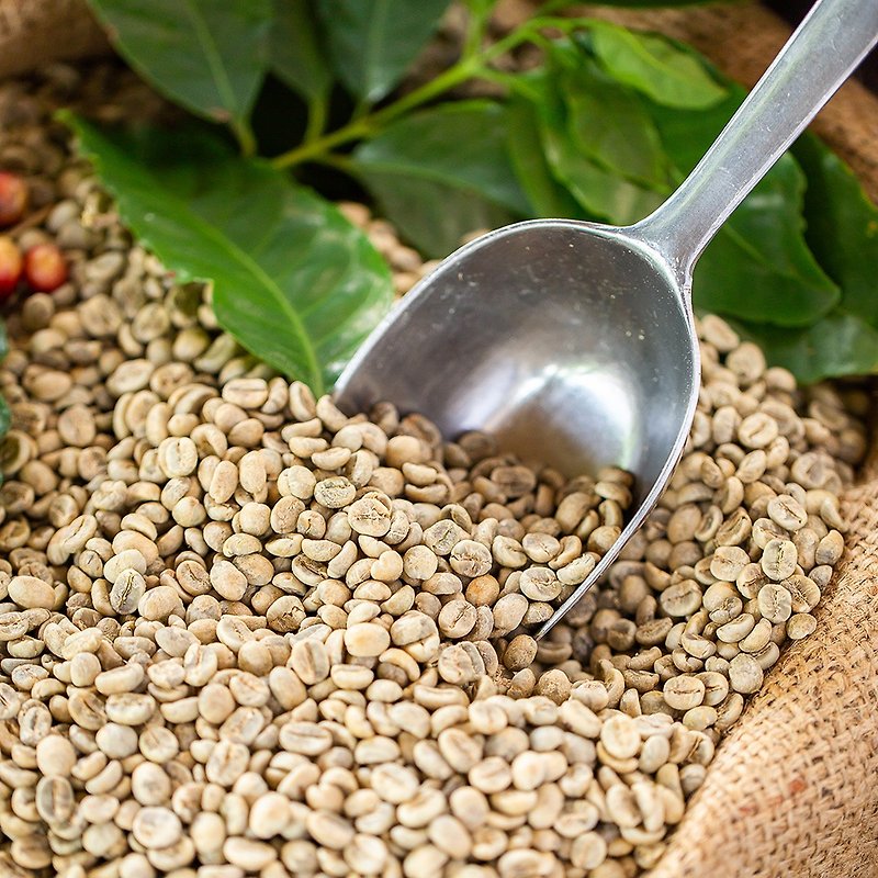 CoFeel Kaifei AI smart bean picking│Yunting, Myanmar│Sun-dried│Single product│Green coffee beans - กาแฟ - วัสดุอื่นๆ สีกากี