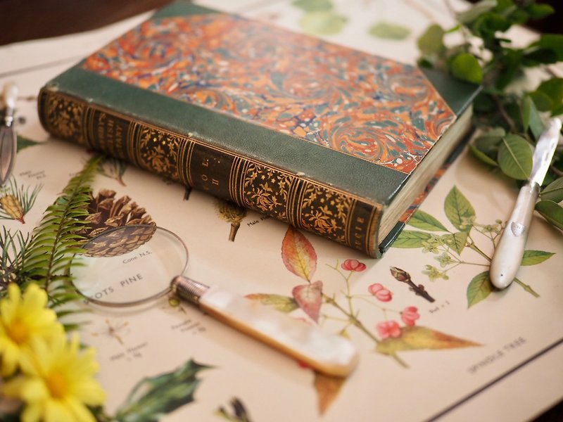 British Centennial Flora Collection - หนังสือซีน - กระดาษ 