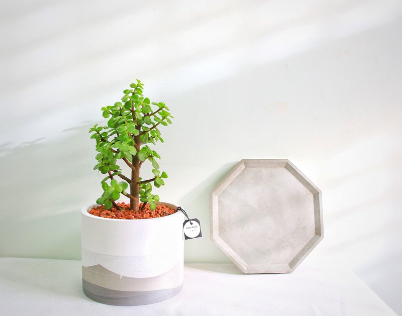 Ginkgo morning cloud Cement potted plant can be customized with English letters - ตกแต่งต้นไม้ - ปูน สีเทา