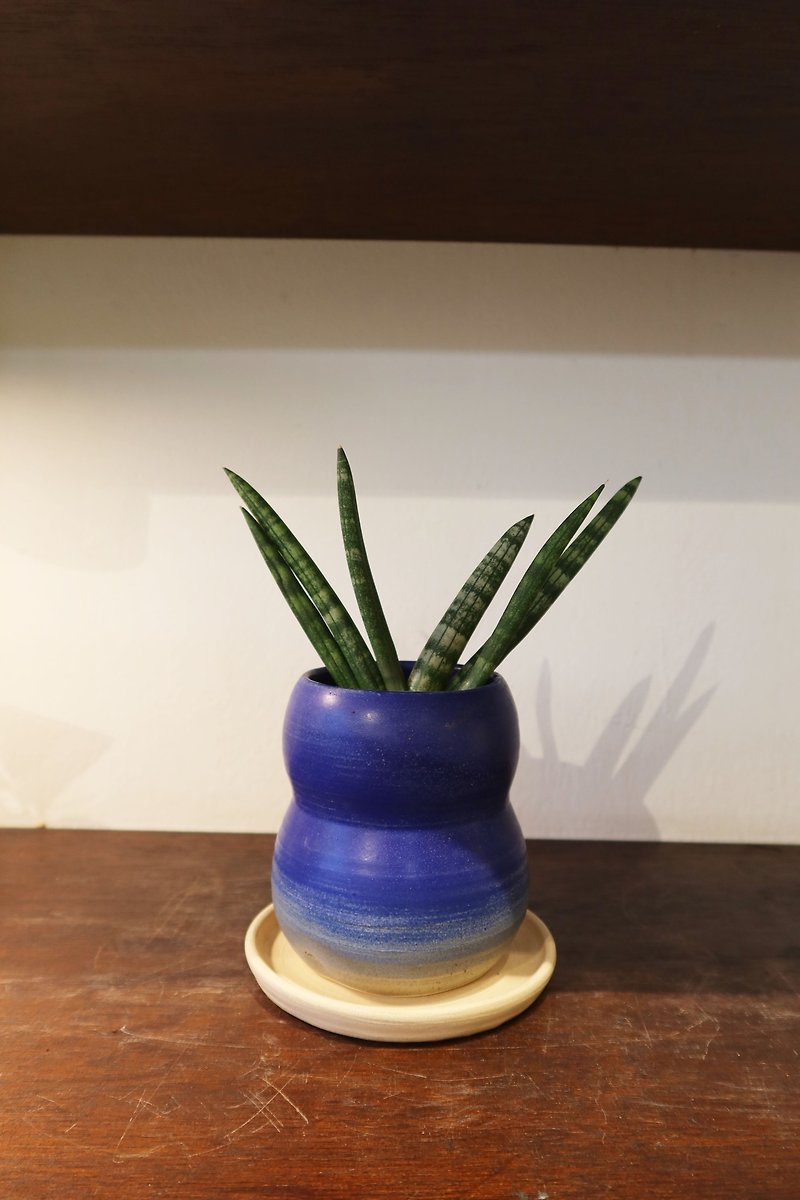 小さな水たまり│ベルガモットタイガーテールラン - 観葉植物 - 陶器 