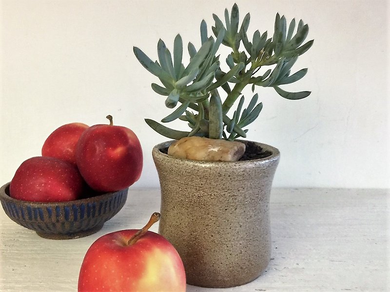 Micro-quartine potted potted pottery pottery potted potted plants - ตกแต่งต้นไม้ - ดินเผา สีนำ้ตาล