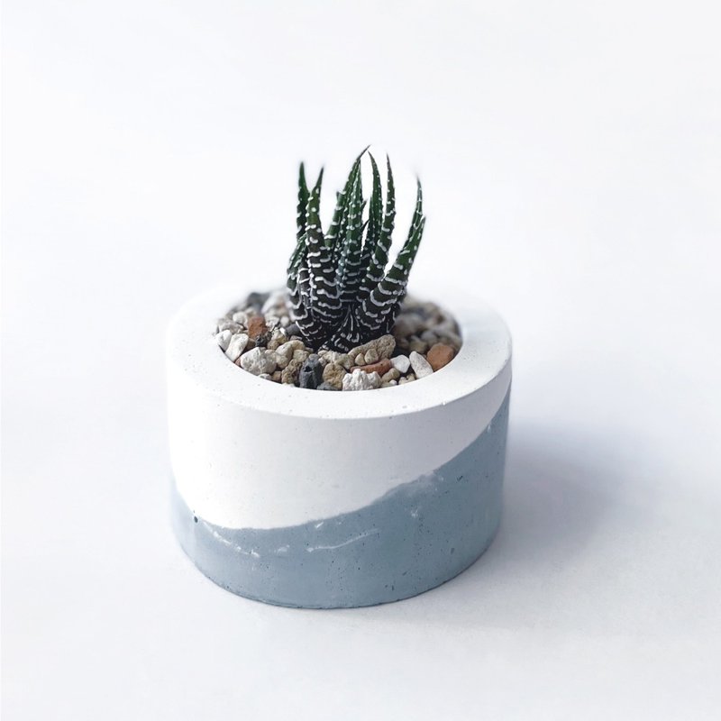 (現貨) 莫蘭迪藍系列 | 十二之卷 小圓形漸層水泥多肉植栽 - 盆栽/植栽 - 植物．花 藍色