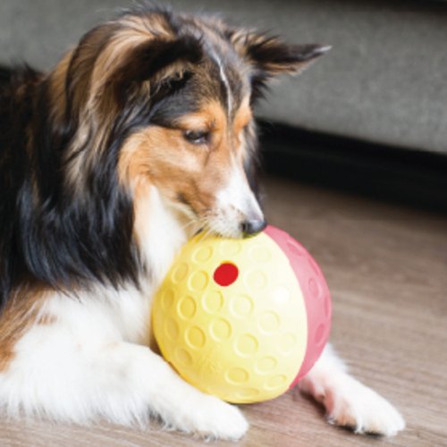 Nina Ottosson Puppy Lickin' Layers - Shop Outward Hound Pet Toys - Pinkoi