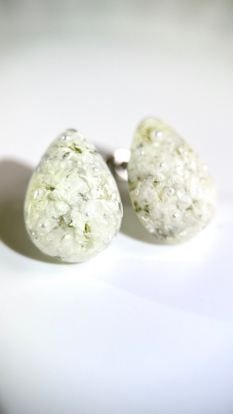 Gypsophila real flower dried flower earrings (Pangpang water droplets) off-white handmade earrings cindyandtong - ต่างหู - เรซิน ขาว