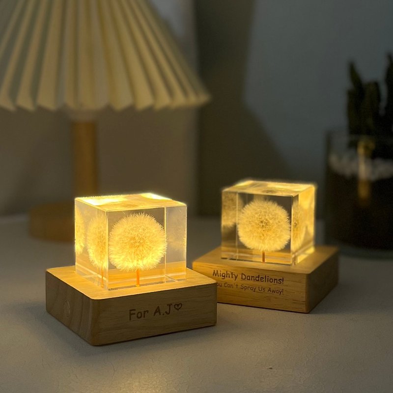 [Customized] Dandelion resin specimen 5cm cube/gift box with stand - ของวางตกแต่ง - เรซิน สีใส