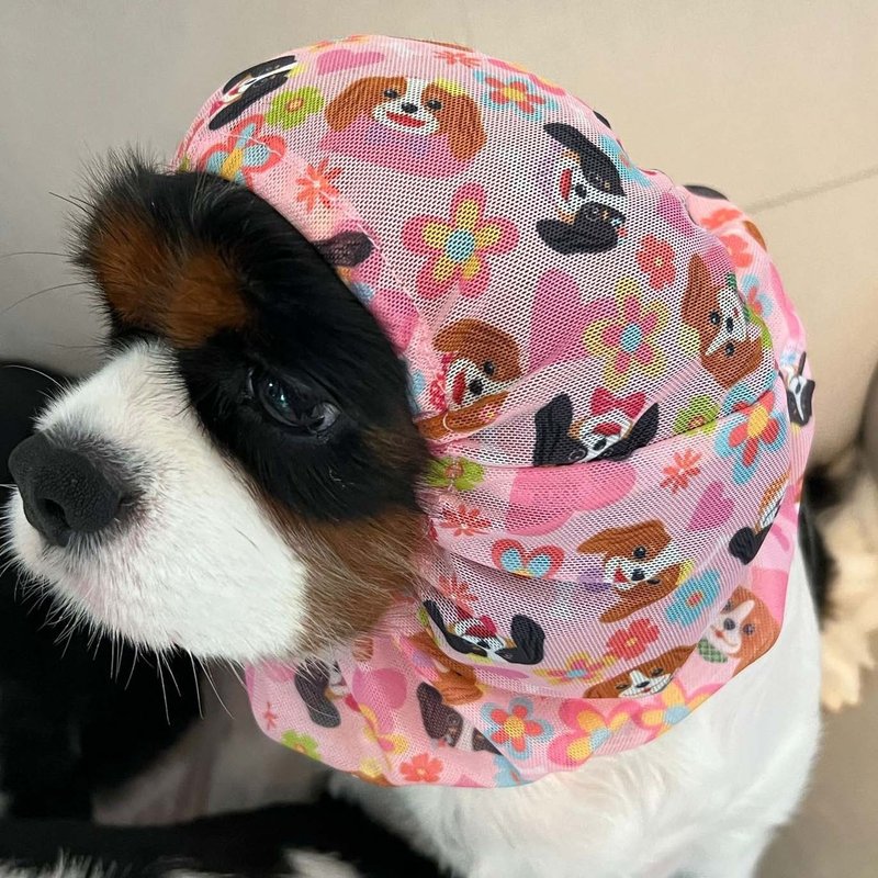 騎士國王查爾斯獵犬圖案網紗頭套 寵物衣 寵物頭飾 - 寵物衣服 - 聚酯纖維 