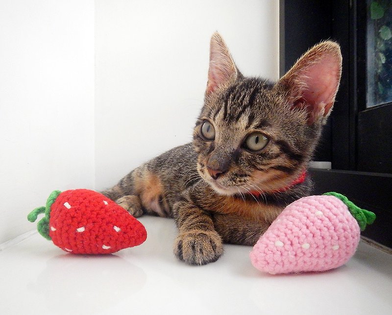毛線編織貓草玩具 貓咪玩具 貓薄荷 草莓 - 貓/狗玩具 - 其他材質 多色