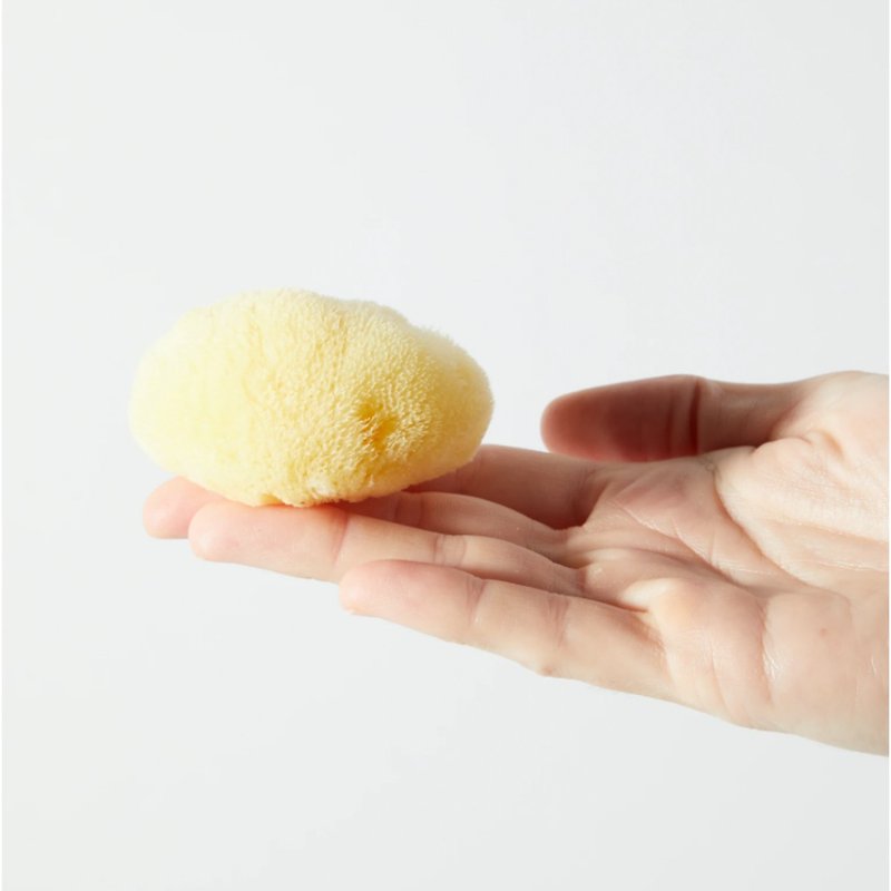 Greek natural facial sponge [lightweight] - Facial Cleansers & Makeup Removers - Plants & Flowers Yellow
