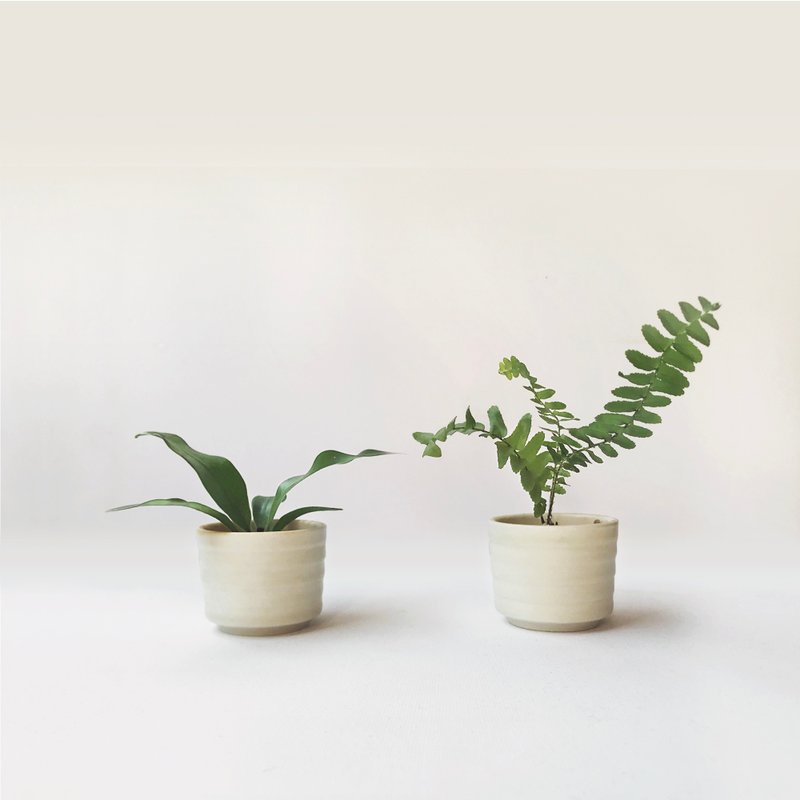 小陽春・迷你蕨類・掌心盆栽手作組 - 2入 - 盆栽/植栽 - 陶 黃色