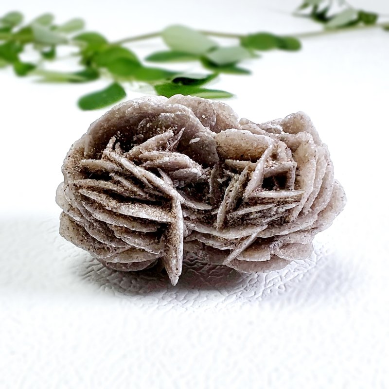 風眠。礦石 原石 療癒 放鬆情緒 l 沙漠玫瑰石 礦標 l - 擺飾/家飾品 - 石頭 卡其色