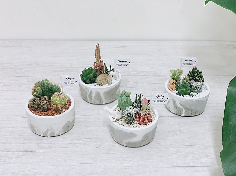 [24h shipping. Super healing desktop landscaping] Succulent Fantasy Park rendering Cement basin with small animals - ตกแต่งต้นไม้ - ปูน สีเทา
