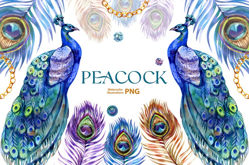 Watercolor Peacock Clipart, Peacock PNG, Boho Peacock Art, Watercolor Peacock - 其他數位設計 - 其他材質 