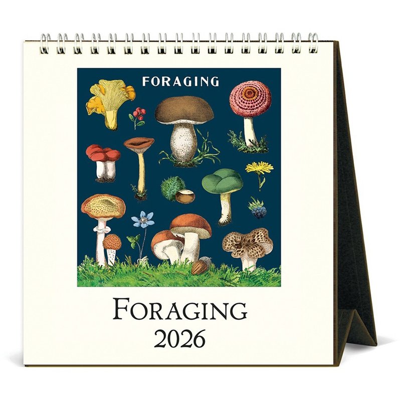 (預購) Cavallini & Co.  2026 桌曆\月曆 FORAGING - 日曆/月曆/年曆 - 紙 多色