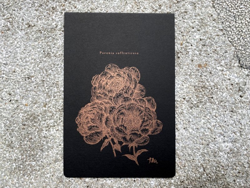 【Paeonia × suffruticosa】Illustration card / letterpress printing - Cards & Postcards - Paper Black