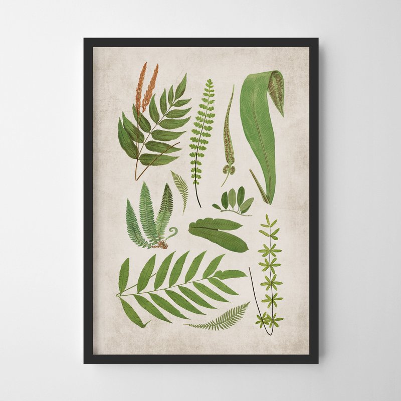 vintage ferns print #3 復古 可客製化 海報 掛畫 - 海報/掛畫/掛布 - 紙 
