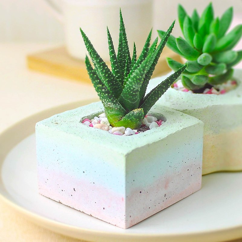 Cement potted plants | healing more meat: square (Maccaron layer) | no plants - Plants - Cement Multicolor
