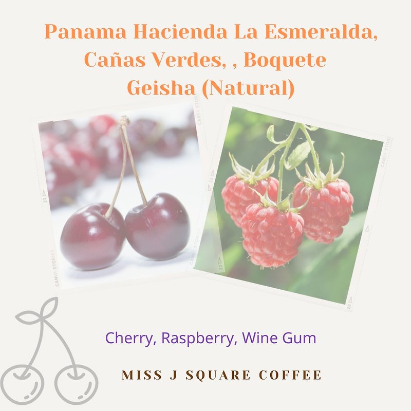 Panama Hacienda La Esmeralda Geisha (Green Label) Natural - Coffee - Other Materials Red