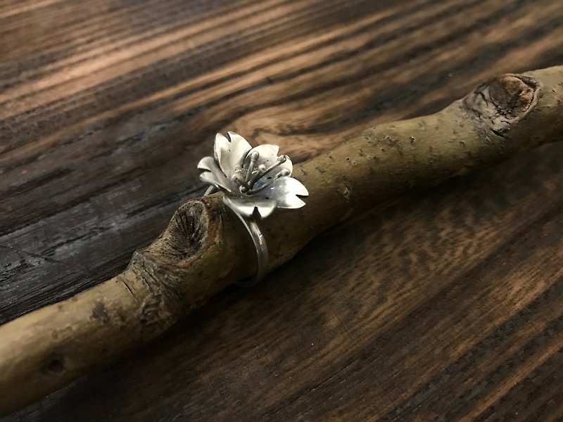 A small flower/cherry blossom