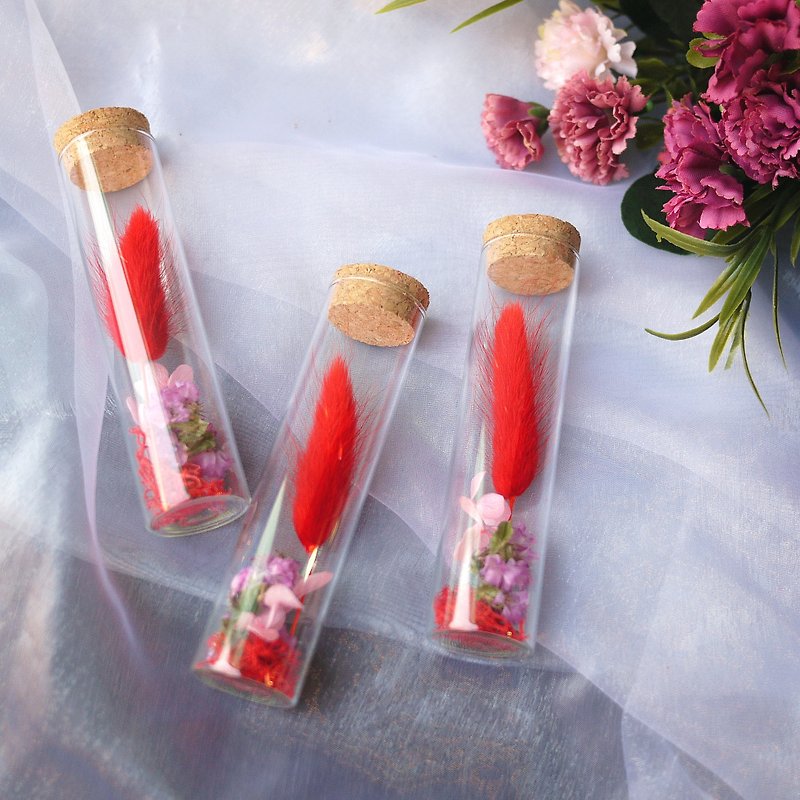 Healing Time-Red Rabbit Tail Glass Test Tube Dry Flower / Single Sale - Plants - Plants & Flowers Red