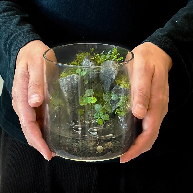 鯨躍玻濤 / 主題性客製化造景生態缸 - 盆栽/植栽 - 植物．花 