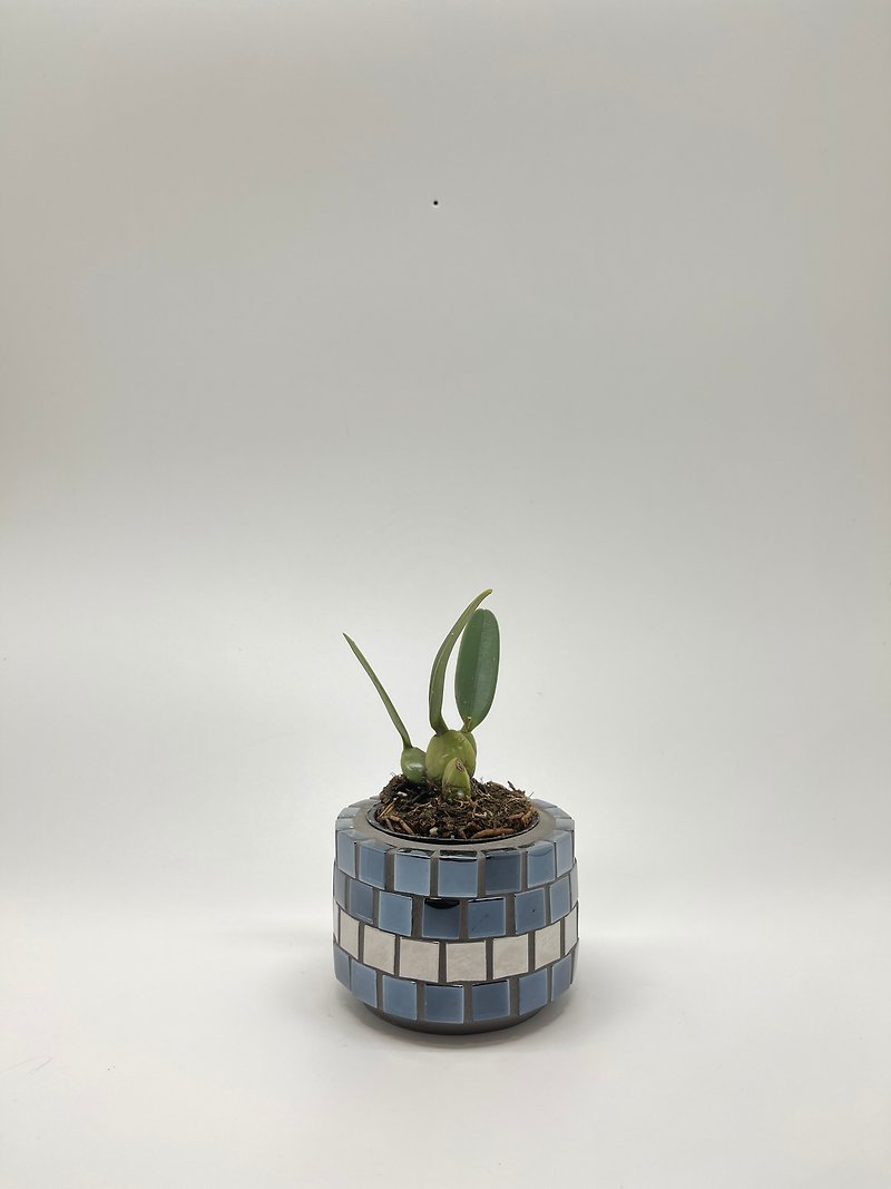 Mirror mosaic flower vessel/small - Pottery & Ceramics - Cement Black