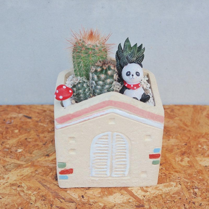 Peas succulent plant and small groceries - Window flower Yamagata cactus Succulent combination - Plants - Pottery 