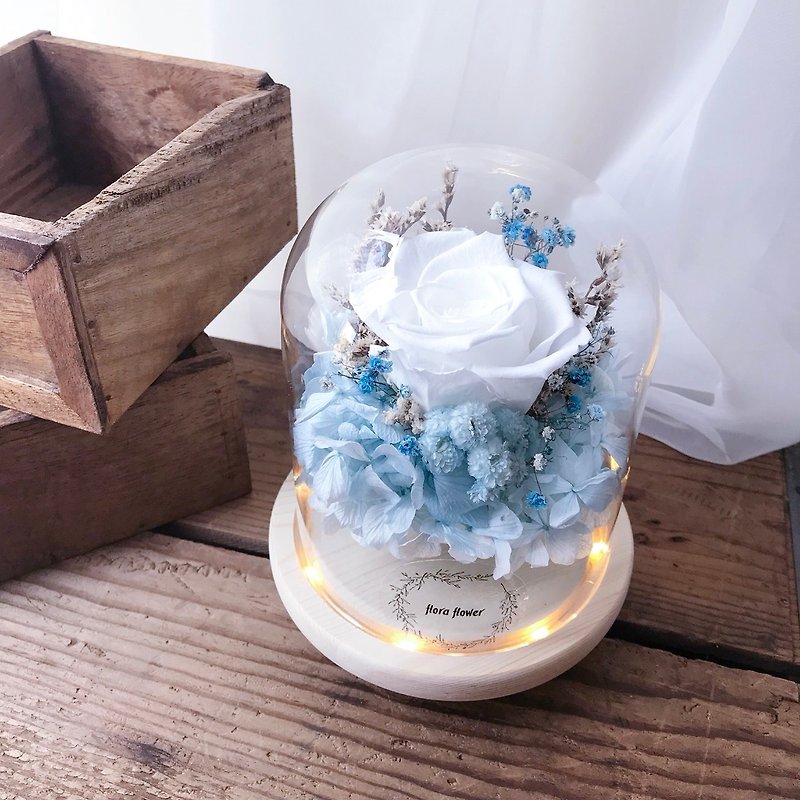 Blue and white immortalized flower night light / translucent white / birthday present / opening ceremony / wedding small things - Plants - Plants & Flowers White