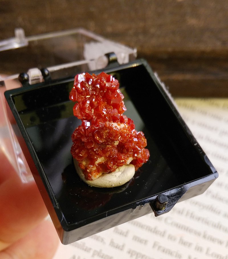Vanadinite 摩洛哥產地 釩鉛礦 天然礦石 原礦 標本盒 - 擺飾/家飾品 - 其他材質 