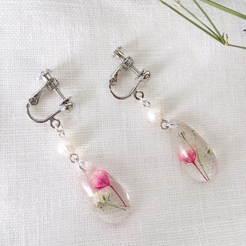 Swing drop shape earrings of babys breath and freshwater pearl (Silver) - ต่างหู - วัสดุอื่นๆ สีใส