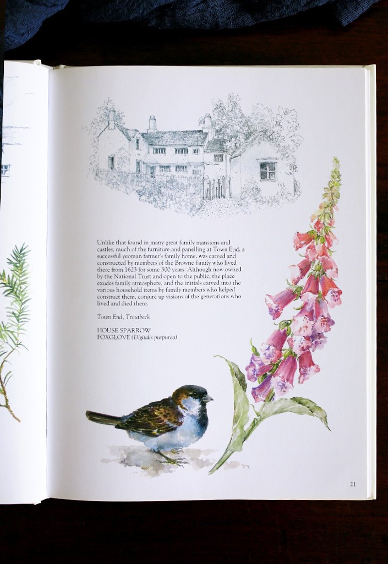 Spot // The United Kingdom 1993s [British Lakeshore] Flower Illustration Vintage Old Book - Indie Press - Paper Green